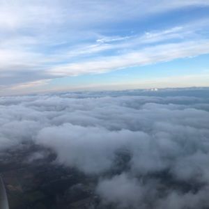 Meet your Posher, Cynthia